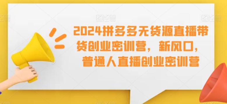 2024拼多多无货源直播带货创业密训营，新风口，普通人直播创业密训营-彼飞网创