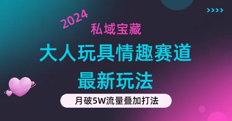 私域宝藏：大人玩具情趣赛道合规新玩法，零投入，私域超高流量成单率高-彼飞网创