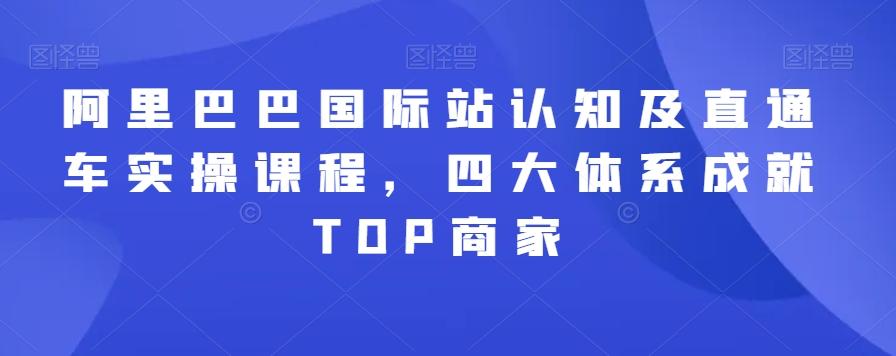 阿里巴巴国际站认知及直通车实操课程，四大体系成就TOP商家-彼飞网创
