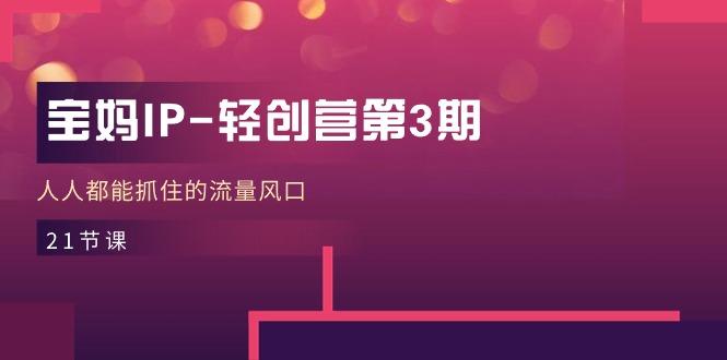 宝妈IP-轻创营第3期，人人都能抓住的流量风口(21节课-彼飞网创