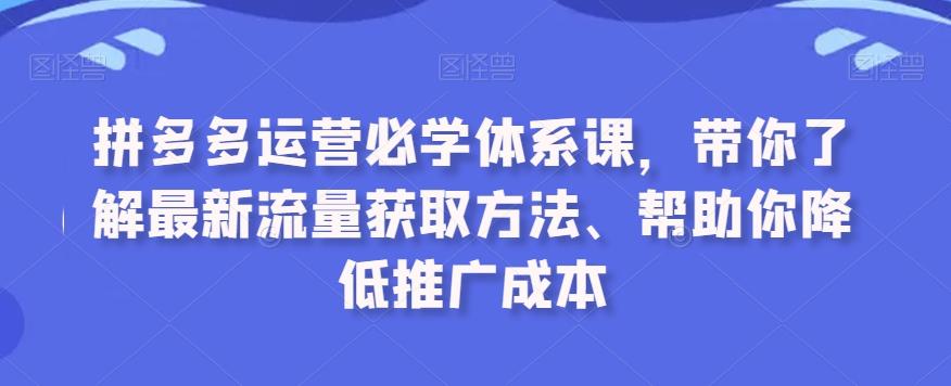 拼多多运营必学体系课，带你了解最新流量获取方法、帮助你降低推广成本-彼飞网创