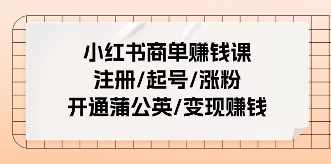 小红书商单赚钱课：注册/起号/涨粉/开通蒲公英/变现赚钱(25节课)-彼飞网创