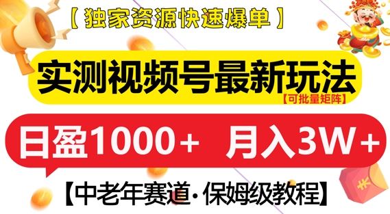 实测视频号最新玩法，中老年赛道，独家资源，月入过W+【揭秘】-彼飞网创