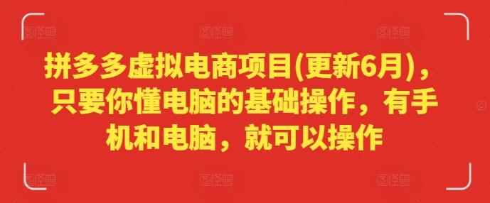 拼多多虚拟电商项目(更新6月)，只要你懂电脑的基础操作，有手机和电脑，就可以操作-彼飞网创