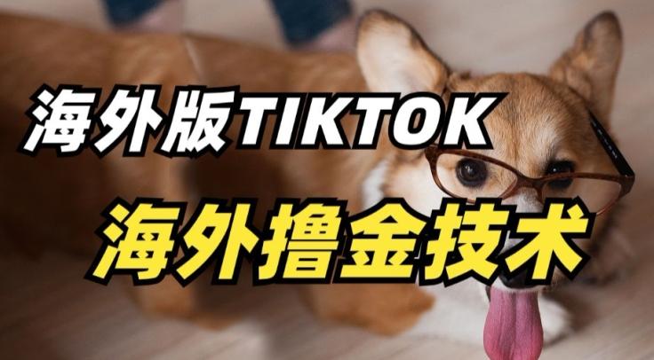 抖音海外版tiktok撸金技术，这个风口行业，赚钱真的不难【揭秘】-彼飞网创