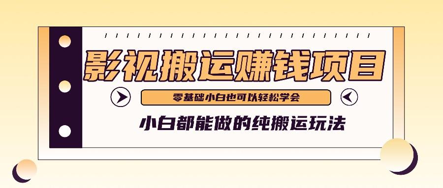 手把手教你操作影视搬运项目，小白都能做零基础也能赚钱-彼飞网创