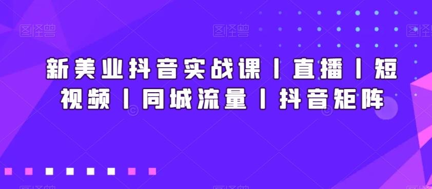 新美业抖音实战课丨直播丨短视频丨同城流量丨抖音矩阵-彼飞网创
