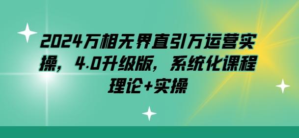 2024万相无界直引万运营实操，4.0升级版，系统化课程 理论+实操-彼飞网创