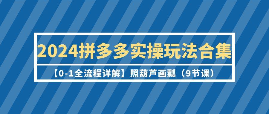 (9559期)2024拼多多实操玩法合集【0-1全流程详解】照葫芦画瓢(9节课)-彼飞网创