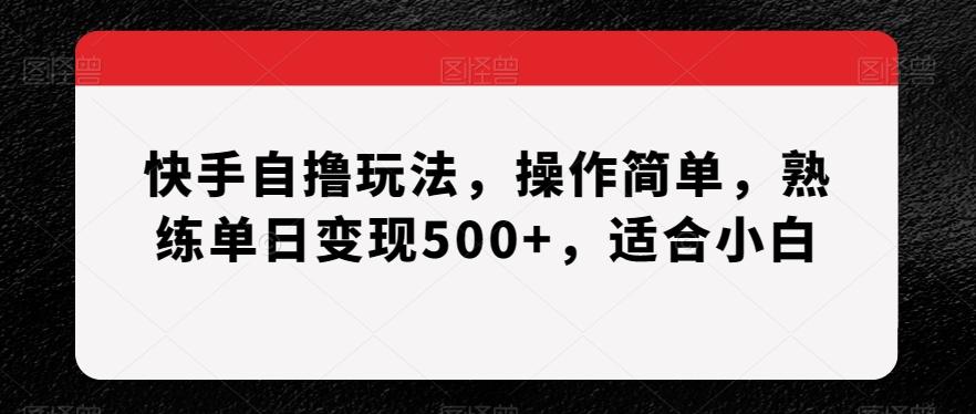 快手自撸玩法，操作简单，熟练单日变现500+，适合小白【揭秘】-彼飞网创