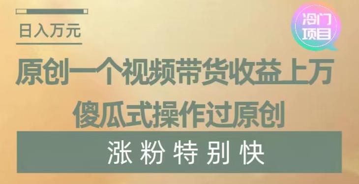 原创一个视频带货收益上万，傻瓜式操作过原创，几分钟做一个视频涨粉特别快【揭秘】-彼飞网创