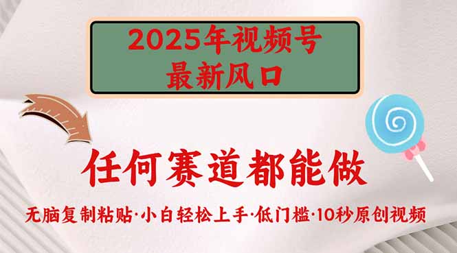 2025年视频号新风口，低门槛只需要无脑执行-彼飞网创