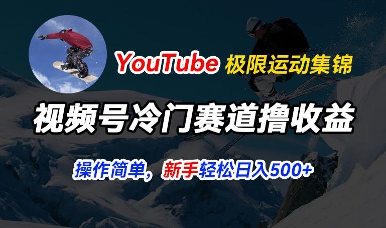 视频号冷门赛道撸收益，YouTube搬运极限运动集锦，暴力起号，操作简单流量高，轻松日入5张【揭秘】-彼飞网创