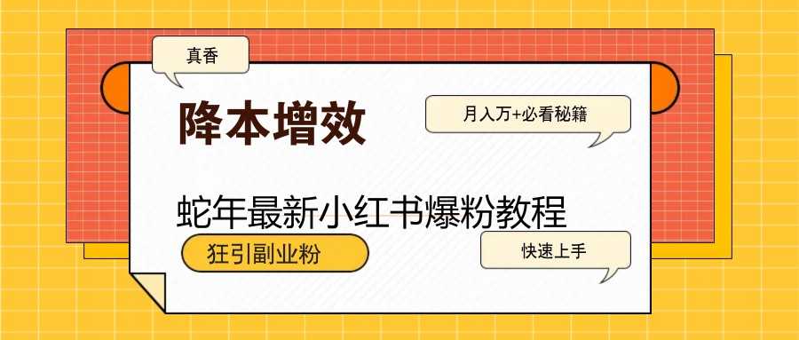 蛇年最新小红书爆粉教程，狂引副业粉，月入万+必看-彼飞网创