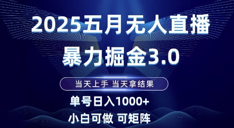 2025五月无人直播暴力掘金3.0，当天上手，当天拿结果，单号日入1k+小白可做可矩阵【揭秘】-彼飞网创