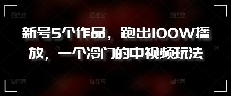 新号5个作品，跑出100W播放，一个冷门的中视频玩法【揭秘】-彼飞网创