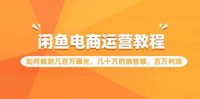 (9560期)闲鱼电商运营教程：如何做到几百万曝光，几十万的销售额，百万利润-彼飞网创