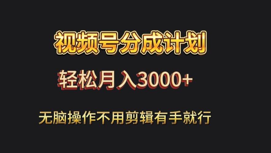 视频号流量分成，不用剪辑，有手就行，轻松月入2000+-彼飞网创