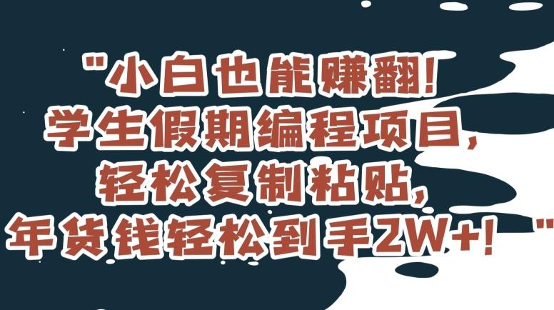 小白也能赚翻！学生假期编程项目，轻松复制粘贴，年货钱轻松到手2W+【揭秘】-彼飞网创
