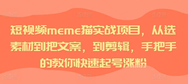 短视频meme猫实战项目，从选素材到把文案，到剪辑，手把手的教你快速起号涨粉-彼飞网创
