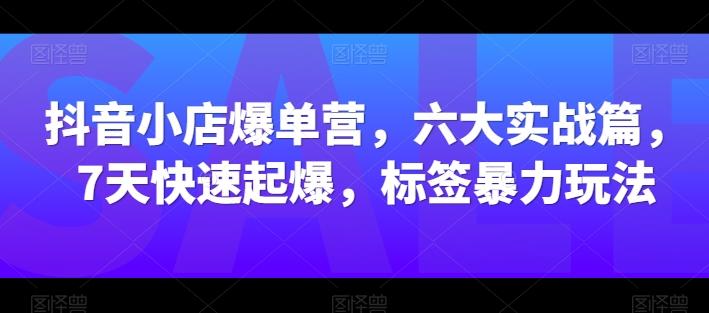抖音小店爆单营，六大实战篇，7天快速起爆，标签暴力玩法-彼飞网创