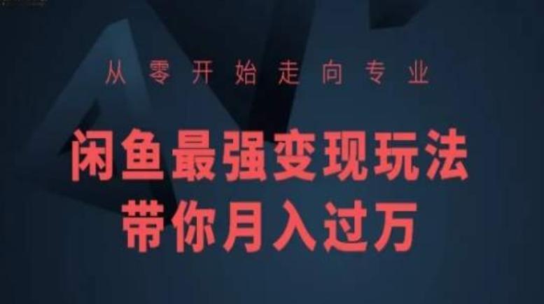 从零开始走向专业，闲鱼最强变现玩法带你月入过万-彼飞网创