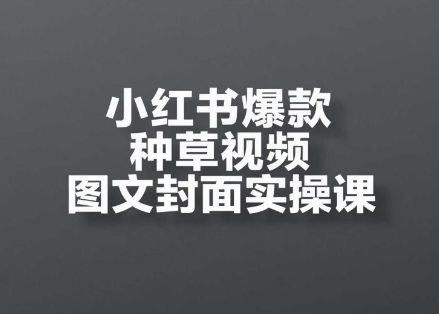 小红书爆款种草视频图文封面实操课，​开店、选品、引流、变现全流程-彼飞网创