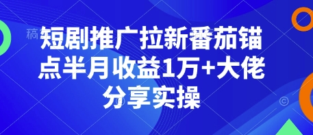 短剧推广拉新番茄锚点半月收益1万+大佬分享实操-彼飞网创