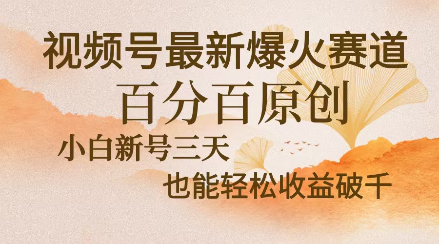 视频号最新爆火赛道，中老年粉深信不疑，百分百原创，新号三天收益轻松…-彼飞网创