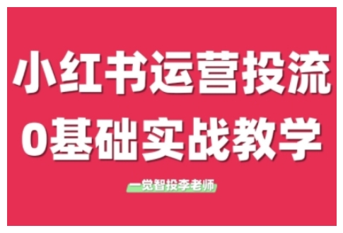 小红书运营投流，小红书广告投放从0到1的实战课，学完即可开始投放(更新)-彼飞网创