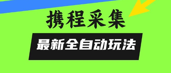 携程信息采集全自动玩法，0风控，无脑开干【揭秘】-彼飞网创