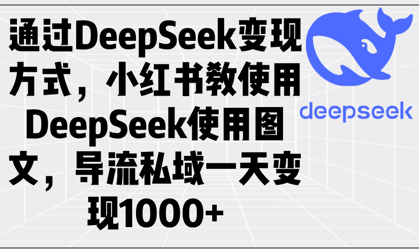 通过DeepSeek变现方式，小红书教使用DeepSeek图文，导流私域一天变现1000+-彼飞网创
