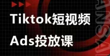 Ads视频投放课，tiktok短视频广告投放课-彼飞网创