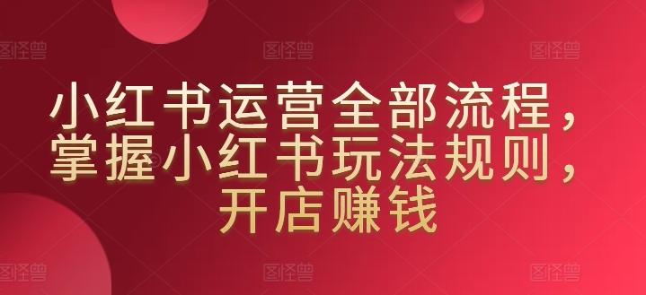 小红书运营全部流程，掌握小红书玩法规则，开店赚钱-彼飞网创