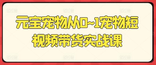 元宝宠物从0~1宠物短视频带货实战课-彼飞网创