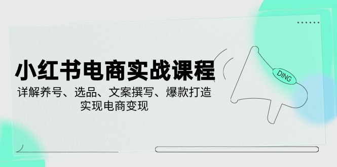 小红书电商实战课程，详解养号、选品、文案撰写、爆款打造，实现电商变现-彼飞网创