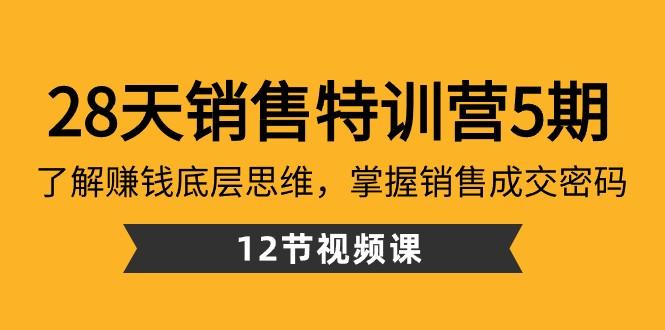 28天销售特训营5期：了解赚钱底层思维，掌握销售成交密码（12节课）-彼飞网创