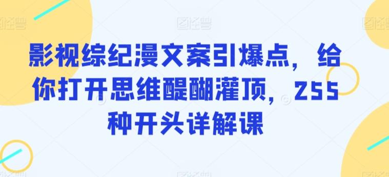 影视综纪漫文案引爆点，给你打开思维醍醐灌顶，255种开头详解课-彼飞网创