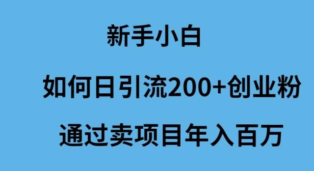 (9668期)新手小白如何日引流200+创业粉通过卖项目年入百万-彼飞网创