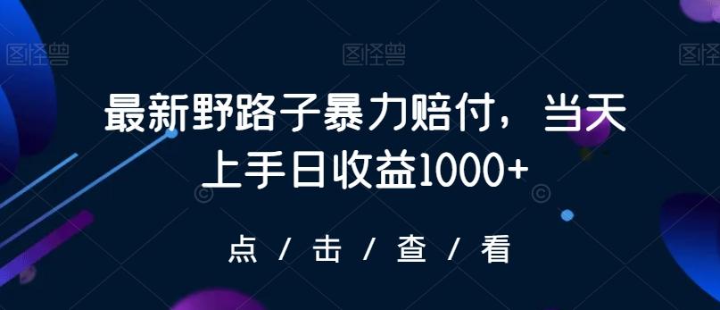 最新野路子暴力赔付，当天上手日收益1000+【仅揭秘】-彼飞网创