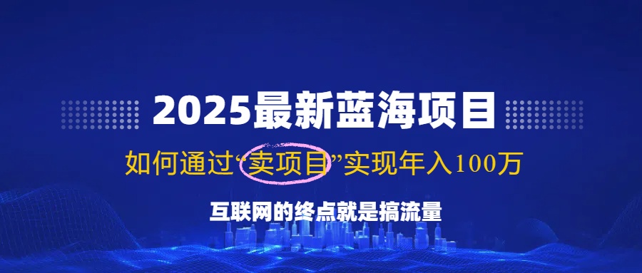 2025最新蓝海项目，零门槛轻松复制，月入10万+，新手也能操作！-彼飞网创