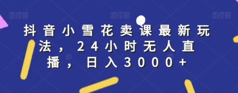 抖音小雪花卖课最新玩法，24小时无人直播，日入3000+【揭秘】-彼飞网创