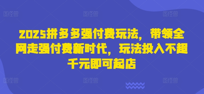 2025拼多多强付费玩法，带领全网走强付费新时代，玩法投入不超千元即可起店-彼飞网创