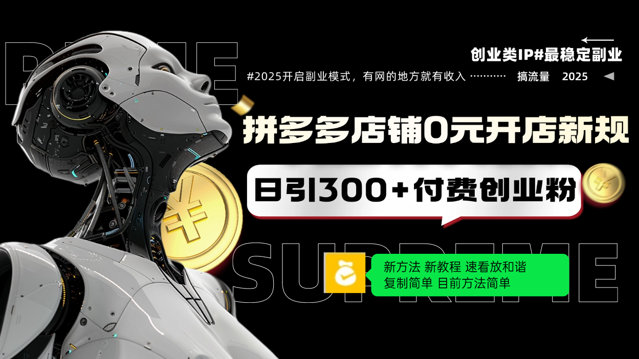 拼多多店铺0元开店新规，日引300+付费创业粉，目前方法简单复制粘贴可矩阵-彼飞网创