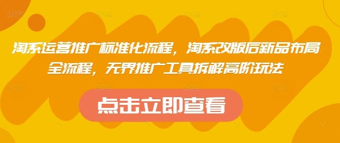 淘系运营推广标准化流程，​淘系改版后新品布局全流程，无界推广工具拆解高阶玩法-彼飞网创
