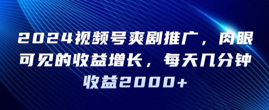 2024视频号爽剧推广，肉眼可见的收益增长，每天几分钟收益2000+【揭秘】-彼飞网创