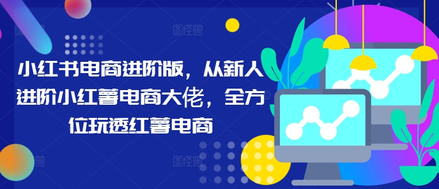 小红书电商进阶版，从新人进阶小红薯电商大佬，全方位玩透红薯电商-彼飞网创
