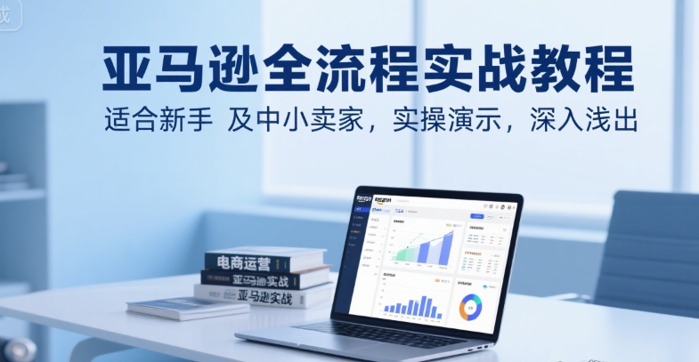 亚马逊全流程实战教程，适合新手及中小卖家，实操演示，深入浅出-彼飞网创