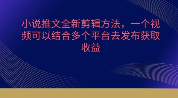 小说推文全新剪辑方法，一个视频可以结合多个平台去发布获取【揭秘】-彼飞网创