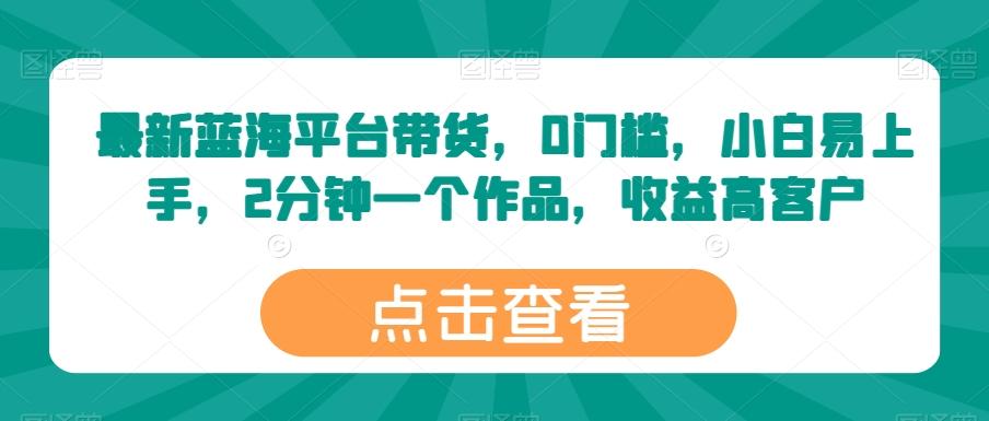 最新蓝海平台带货，0门槛，小白易上手，2分钟一个作品，收益高【揭秘】-彼飞网创